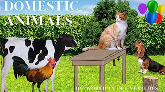 Post 3 by WORLD EXTRA VENTURES on YouTube (video)