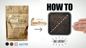 Post 8 by Green House Feeding on YouTube (video)