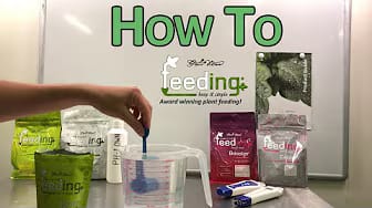 Post 4 by Green House Feeding on YouTube (video)