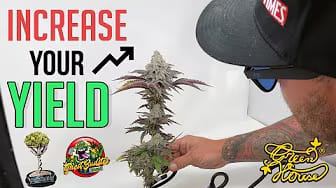 Post 5 by Green House Feeding on YouTube (video)