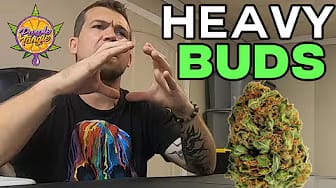 Post 7 by Green House Feeding on YouTube (video)