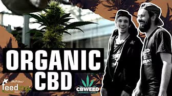 Post 1 by Green House Feeding on YouTube (video)