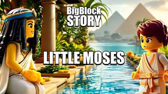 Post 6 by BigBlockStory on YouTube (video)