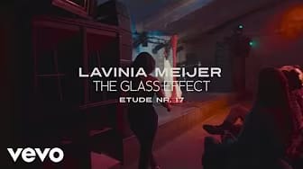 Post 8 by Lavinia Meijer on YouTube (video)