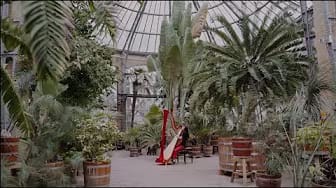 Post 5 by Lavinia Meijer on YouTube (video)