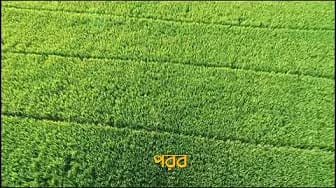 Post 9 by পসারী Pasaari on YouTube (video)