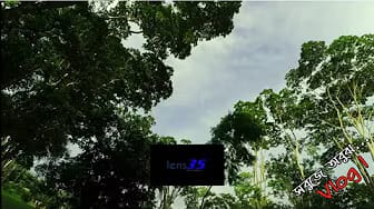 Post 3 by পসারী Pasaari on YouTube (video)