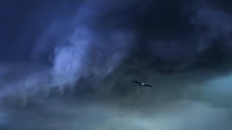 Post 2 by Maarten Onno on YouTube (video)