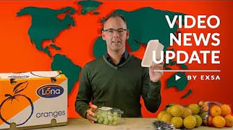 Post 7 by EXSA EUROPE on YouTube (video)