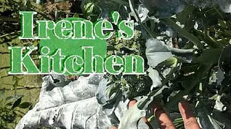 Post 9 by Irene's Kitchen on YouTube (video)