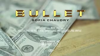 Post 7 by Sofia Chaudry on YouTube (video)