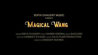 Post 8 by Sofia Chaudry on YouTube (video)