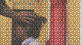 Post 1 by Daniel Sher / Siddha Kundalini Healing on YouTube (video)