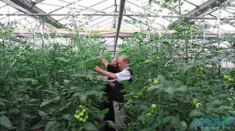 Post 6 by Groasis Vegetables on YouTube (video)