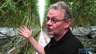 Post 5 by Groasis Vegetables on YouTube (video)