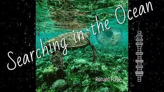 Post 4 by Ronald Hage on YouTube (video)