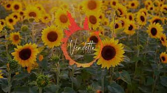 Post 3 by Vendetta on YouTube (video)