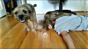 Post 5 by Daily Yum on YouTube (video)