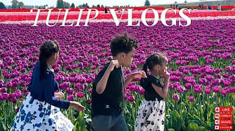 Post 5 by The Familly Time on YouTube (video)