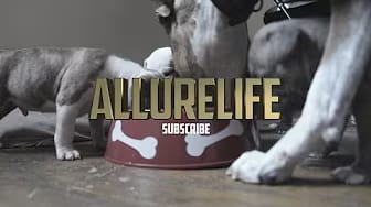 Post 2 by AllureLife on YouTube (video)