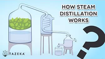 Post 3 by Tazeka Aromatherapy on YouTube (video)