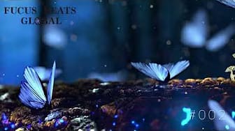 Post 5 by FOCUS BEATS GLOBAL on YouTube (video)