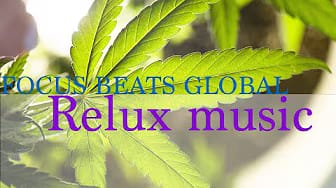 Post 3 by FOCUS BEATS GLOBAL on YouTube (video)