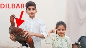 Post 9 by Jahanzaib Mahra Official on YouTube (video)