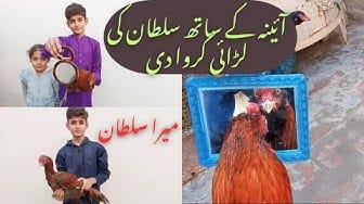 Post 10 by Jahanzaib Mahra Official on YouTube (video)