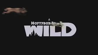 Post 10 by WolfWideWeb on YouTube (video)