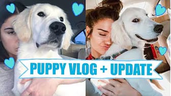 Post 1 by brunettely on YouTube (video)