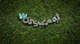 Post 2 by mossylist on YouTube (video)