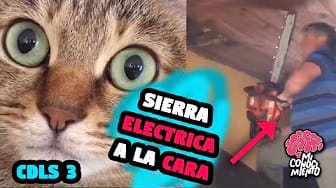 Post 3 by Mi Conocimiento on YouTube (video)