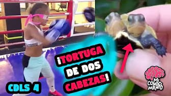 Post 1 by Mi Conocimiento on YouTube (video)