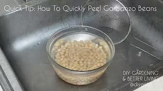 Post 2 by DIY Gardening & Better Living on YouTube (video)