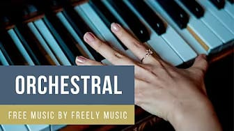 Post 9 by Freely Music on YouTube (video)