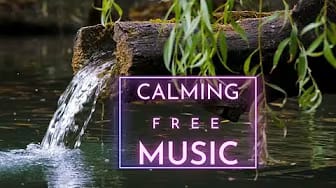 Post 2 by Freely Music on YouTube (video)