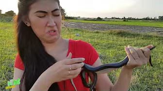 Post 1 by Funny Baby Monkey on YouTube (video)