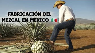 Post 9 by Arte y Cultura on YouTube (video)