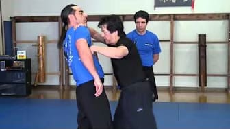 Post 2 by Elite Combat Systems on YouTube (video)