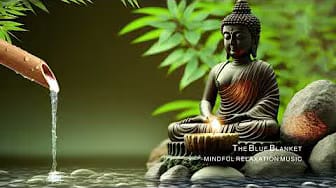 Post 5 by The Blue Blanket on YouTube (video)