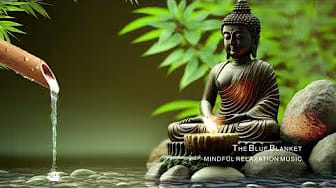 Post 4 by The Blue Blanket on YouTube (video)