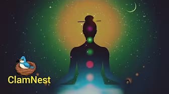 Post 2 by ClamNest on YouTube (video)