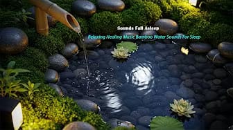Post 1 by Sounds Fall Asleep on YouTube (video)