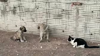 Post 2 by We All Farm and Farmer's Blog TV on YouTube (video)