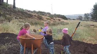 Post 1 by A Healthy Leaf on YouTube (video)