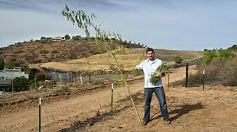 Post 2 by A Healthy Leaf on YouTube (video)