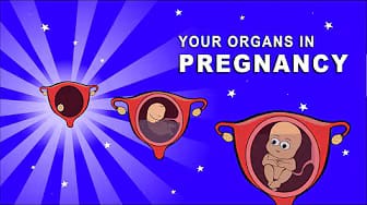 Post 4 by Fit Organs on YouTube (video)