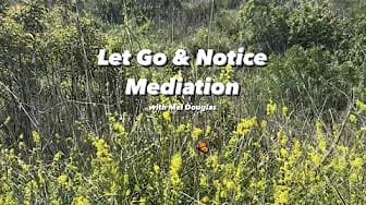 Post 6 by Black Women's Yoga Collective on YouTube (video)