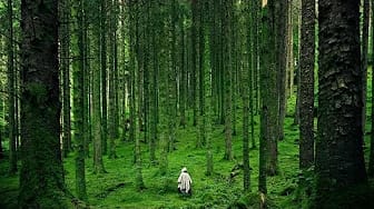 Post 9 by Soothing Sounds on YouTube (video)